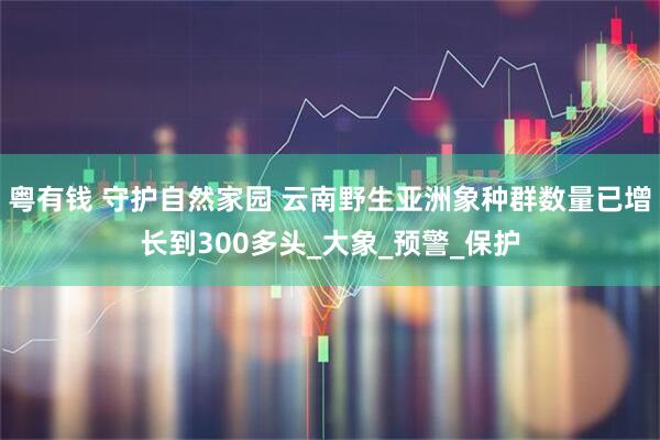 粤有钱 守护自然家园 云南野生亚洲象种群数量已增长到300多头_大象_预警_保护