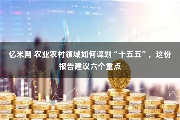 亿米网 农业农村领域如何谋划“十五五”，这份报告建议六个重点