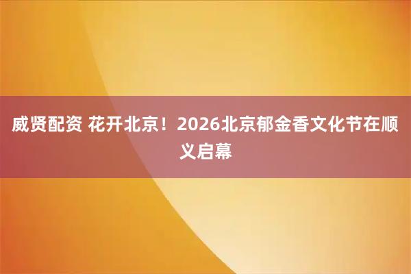 威贤配资 花开北京！2026北京郁金香文化节在顺义启幕