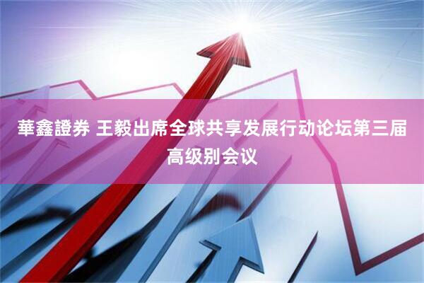 華鑫證券 王毅出席全球共享发展行动论坛第三届高级别会议