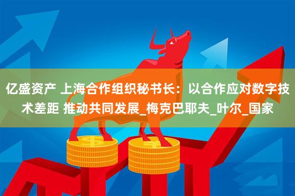 亿盛资产 上海合作组织秘书长：以合作应对数字技术差距 推动共同发展_梅克巴耶夫_叶尔_国家