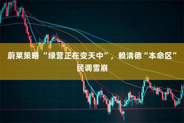 蔚莱策略 “绿营正在变天中”,赖清德“本命区”民调雪崩