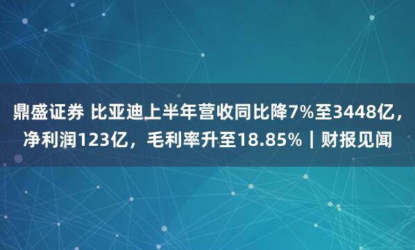 鼎盛证券 比亚迪上半年营收同比降7%至3448亿，净利润123亿，毛利率升至18.85%｜财报见闻